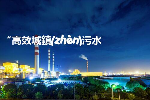 “高效城鎮(zhèn)污水處理流程，守護(hù)碧水藍(lán)天新篇章”